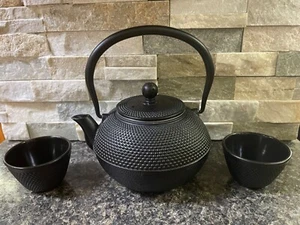 JAPANESE CAST IRON TEA CUP AND TETSUBIN TEA POT BOTH PORCELAIN LINED - Picture 1 of 7