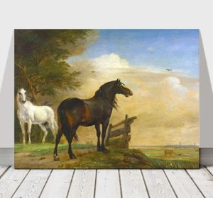 PAULUS POTTER - Two Horses Landscape - CANVAS ART PRINT POSTER - 12x8" - Picture 1 of 1