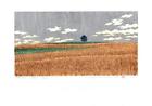 Hajime Namiki Japanese Original Woodblock Print "Hill-1 Wheat" from Japan