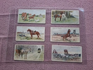 JUEGO COMPLETO - STOLLWERCK - SERIE 48 - CABALLOS etc FR - Imagen 1 de 2