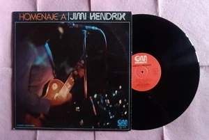 LP THE BLACK DIAMONDS – Homenaje A Jimi Hendrix -Gramusic GM-248 SPAIN (EX/EX+) - Picture 1 of 2