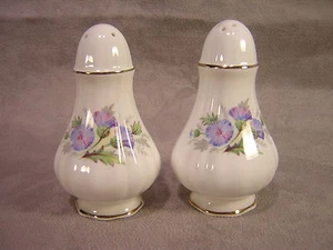 Paragon China Vintage Salt & Pepper Shakers - Picture 1 of 4