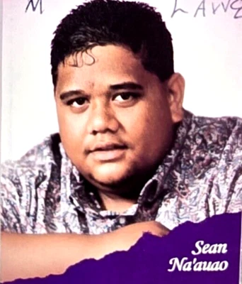 SEAN NA'AUAO -Giving Something Back 1993 Cassette Tape Hawaiian Christian Music - Image 1 of 4