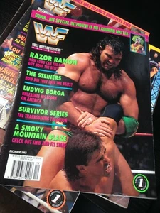 Revista WWF WWE DICIEMBRE 1993 Razor Ramon + Catálogo - Imagen 1 de 3