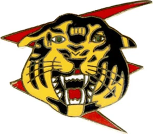  1° Escadrille SPA 162 du 01 - 012, tigre, tête 23 millimètres, Sans (528)(1296) - Imagen 1 de 2