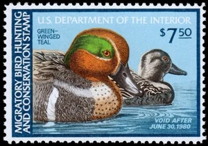 United States Hunting Permit Stamp Scott RW46 (1979) Mint NH VF, CV $12.50 C - Picture 1 of 1