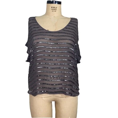 Joie Top Manga Corta Seda Gris Transparente con Adornos a Rayas Lentejuelas Talla Med Foto 1 de 4