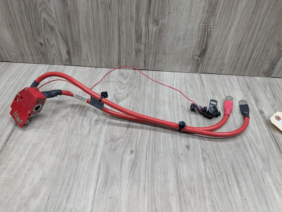 OEM BMW M2 F87 F15 F22 F23 M235 X5 Batería Plus Polo Terminal Positivo Cable Rojo Foto 1 de 4