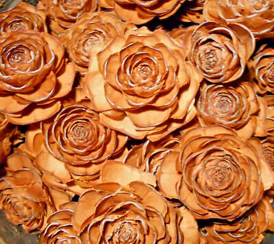 25 Cedar Roses *Cedar Rose Pine Cones* Decor, Wedding Flowers, Crafts 1 -3.5 !!! • 12.50€