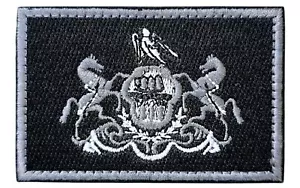 Pennysylvania Staatsflagge Pa Pferde Emblem SWAT MILITÄR TAKTISCHER HAKENAUFNÄHER - Bild 1 von 2