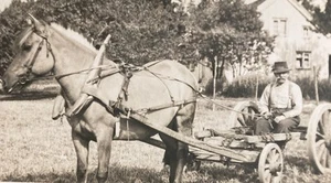 Vintage Photo Farmer Horse Drawn Cart Work Horse Farm - Picture 1 of 3