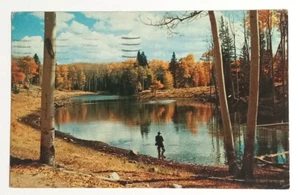 Cartolina Canjilon Lake Fishing New Mexico fogliame autunnale quasi nuova Petley c1950s - Foto 1 di 2
