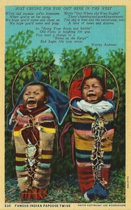 Native American PC. 'Famous Indian Papoose Twins.' Babies Crying. Linen. UNP - Picture 1 of 2