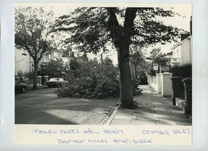 Storm Damage Hove Sussex - Foto de prensa 1987 #2 - Imagen 1 de 1