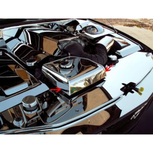 Tapa de cubierta del tanque de agua ACC para Ford Mustang V6/GT 2005-2009-ino inoxidable/pulido - Imagen 1 de 3