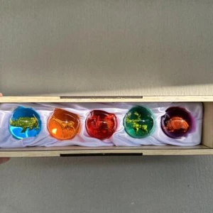 Power Rangers Wild Force Gaoranger Crystal Figures 4cm With Wooden Box Used  - Picture 1 of 7