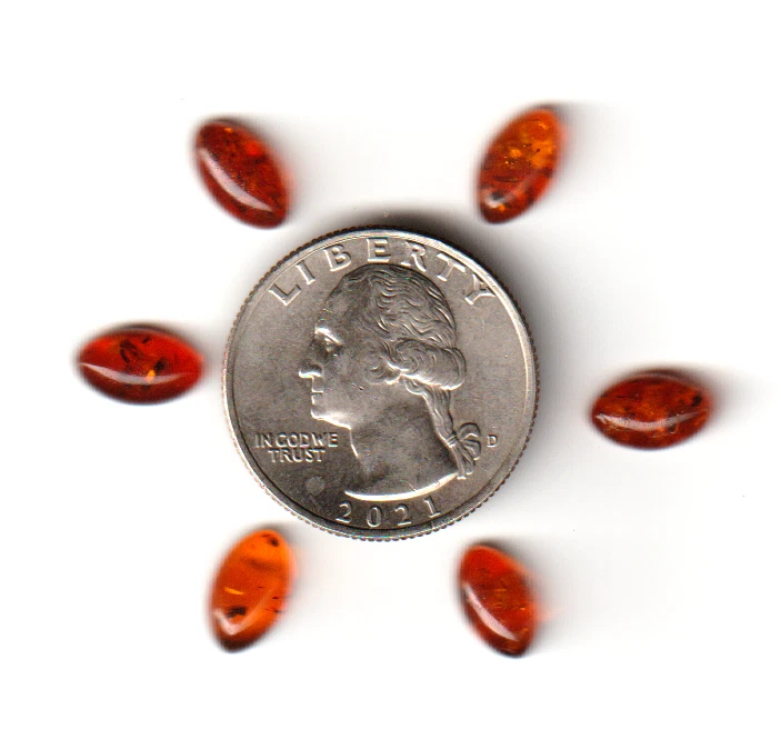 Lote de (6) Cabujones Ámbar Báltico 40 MYO Fósil Árbol Savia Foto 1 de 1