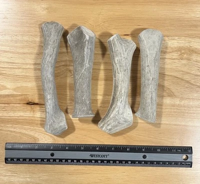 MEDIUM Mid Grade Elk/Deer Antler Natural Dog Chew. (3 Pack) *ANTLER TREATS* - Image 1 of 4