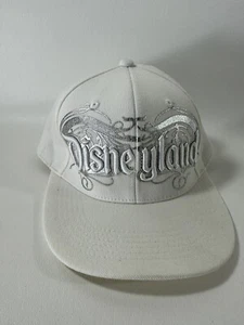 Disneyland White Silver Hat Cap Adult Embroidery Raised Lettering Magical Disney - Picture 1 of 9
