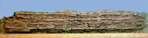 SHALE 8 HO S O On30 F G Model Railroad Diorama Scenery Latex Rubber Rock CVSH8 - Picture 1 of 4