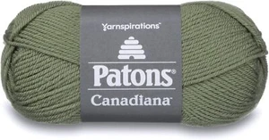 Hilo Patons Canadiana, té verde mediano - Imagen 1 de 2