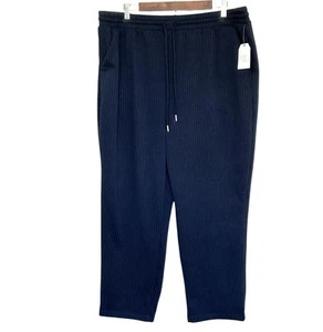 Time And Tru Women’s Pants XXL Blue Striped Pull On Drawstring Pockets Knit NWT - Picture 1 of 10