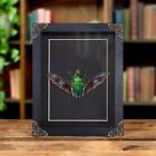 Taxidermy Green African Scarab Beetle In Baroque Style Frame (Mecynorrhina Torqu