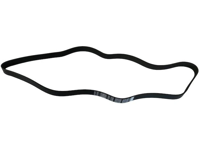 Cinturón multi costilla para Nissan Murano 2009-2014 3,5 L V6 gas 2010 2011 2012 RJ768PC Foto 1 de 1