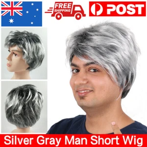 Silver Gray Man Short Wig Fashion Wigs Hairnet Old Men's Elder Hair Full Cosplay - Picture 1 of 10