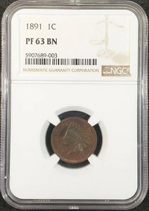 1891 Indian Head Cent Proof NGC PF63 BN 5907689-003 Exquisite Coin Rare - Picture 1 of 12