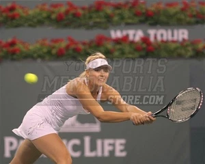 Maria Sharapova backhand return 8x10 11x14 16x20 photo 707 - Picture 1 of 1
