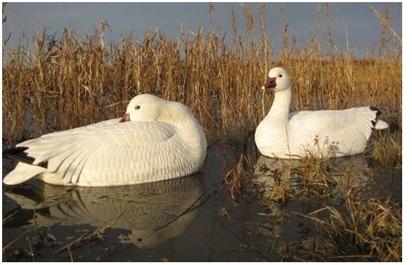 NEW Dakota Decoy 12155 X-Treme Upright Snow Goose Floater Hunting Decoy 6 Pack - Image 1 of 1