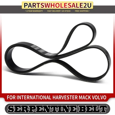 61.51 英寸重型蛇形皮带适用于沃尔沃国际收割机货运机 — 第 1/4 张图片
