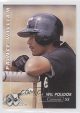 1995 Multi-Ad Prince William Cannons Wil Polidor #10