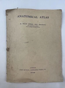 Anatomischer Atlas Maud Jepdon 1947 Original Papier Kopie - Bild 1 von 7