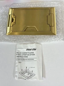 Thomas & Betts Steel City Carpet Plate with Door P64P-CP Single Gang Brass - Picture 1 of 4