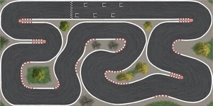 Pista de carreras Clean para Kyosho Mini-Z 500cm x 300cm con pistas - Imagen 1 de 3