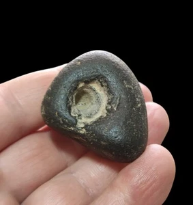 Cretaceous - Fossil of Marine Worm Trace in Natural Flint Stone (Desert Chert) - Picture 1 of 5