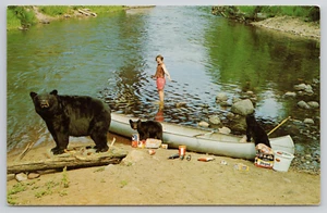 AK Schwarzbären Überfall Essen "Yikes, Besucher!" Pepsi Humor um 1970  - Bild 1 von 2