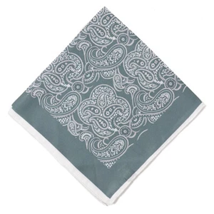 New $215 KITON Mossy Green and White Paisley Print Silk Pocket Square - Picture 1 of 3