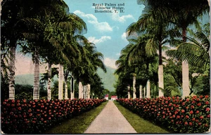Vtg 1910s Royal Palms & Hibiscus Hawaii HI TH Island Curio Co Unused Postcard - Picture 1 of 2