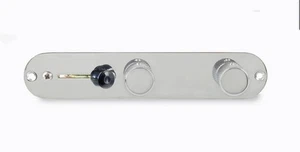 Arnés Telecaster invertido hecho con precisión con placa y perillas - Imagen 1 de 3