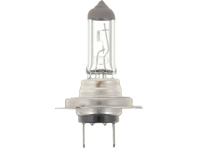 Bombilla de faro para Kia Sedona 2002-2007, 2015-2021 2017 2003 2004 2005 YG315NQ Foto 1 de 1