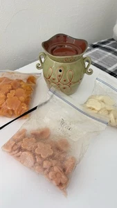 Scentsy Wachswärmer im Ruhestand und Schmelzt Salbeigrün Swirl Design - Bild 1 von 5