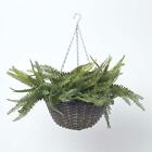 Hanging Planter Pot Basket for Indoor and Outdoor Decoration