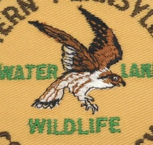 Patch vintage falco Western Pennsylvania conservazione acqua terra e fauna selvatica uccellino - Foto 1 di 3