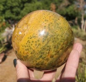 Ocean Jasper Kambaby 8th Vein Old Stock Orbicular Druzy Veins A Grade | 944 gram - Picture 1 of 10