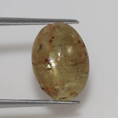 Translucent Natural Green Cat’s Eye Chrysoberyl 6.35 Ct Certified Loose Gemstone - Image 1 of 4