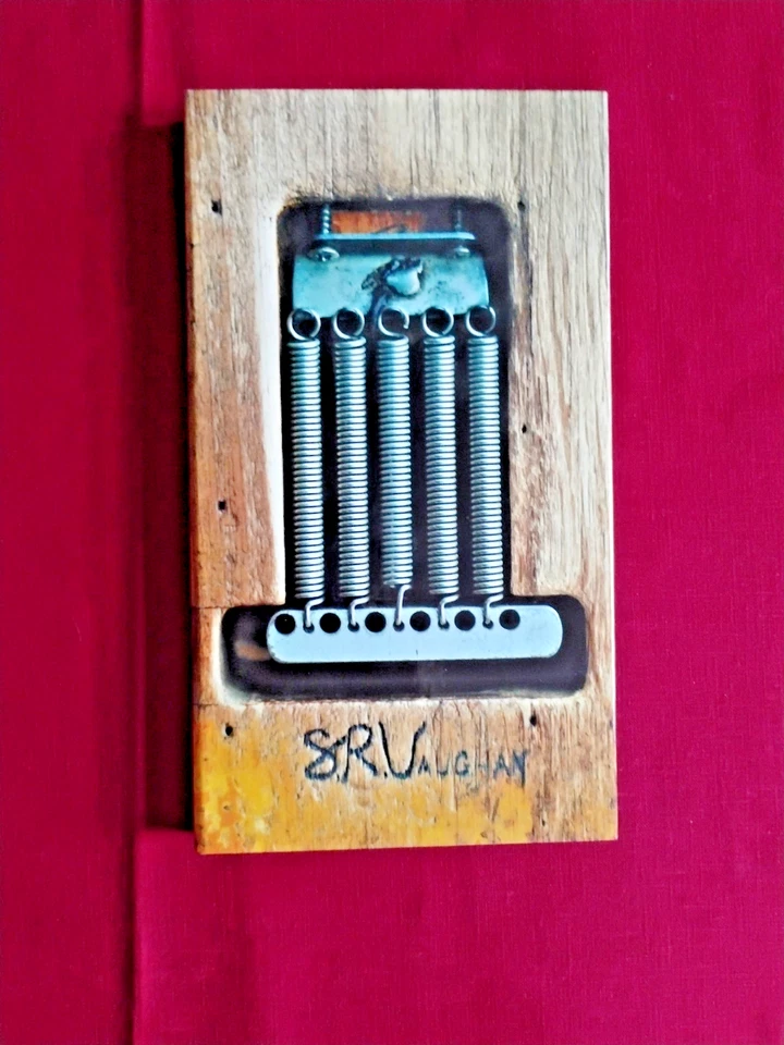 Stevie Ray Vaughan & Double Trouble – S.R.V. / Classic Rock Blues CD Box Set - Image 1 of 4