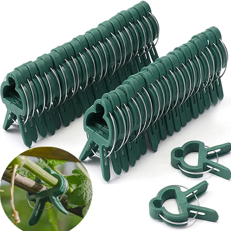 CLIPS GRANDES PARA PLANTAS Y JARDINES 100 PIEZAS Soporte Tomate Vegetal Enrejado Cordel Corbatas Foto 1 de 4